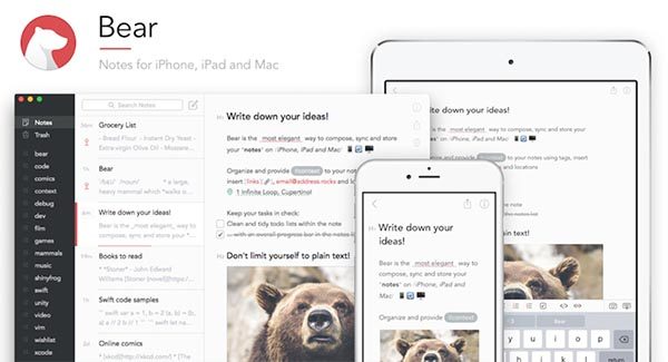 Bear là một trong những lựa chọn ghi chép hàng đầu