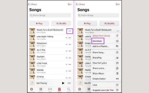 Nhấn biểu tượng Download